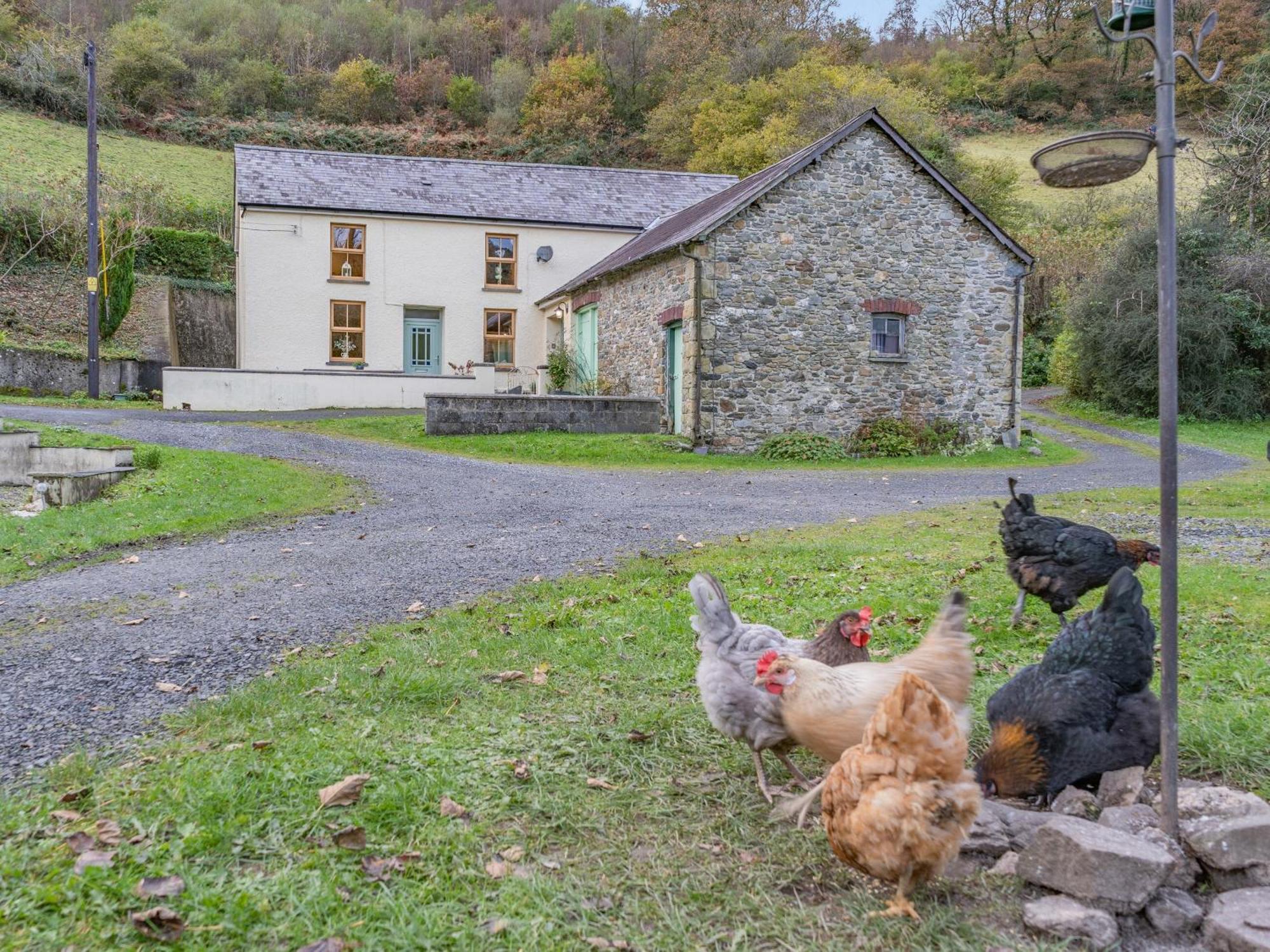 Pwll Farmhouse Llanllawdog Kültér fotó