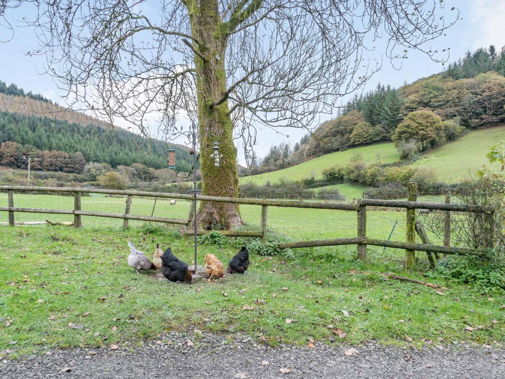 Pwll Farmhouse Llanllawdog Kültér fotó